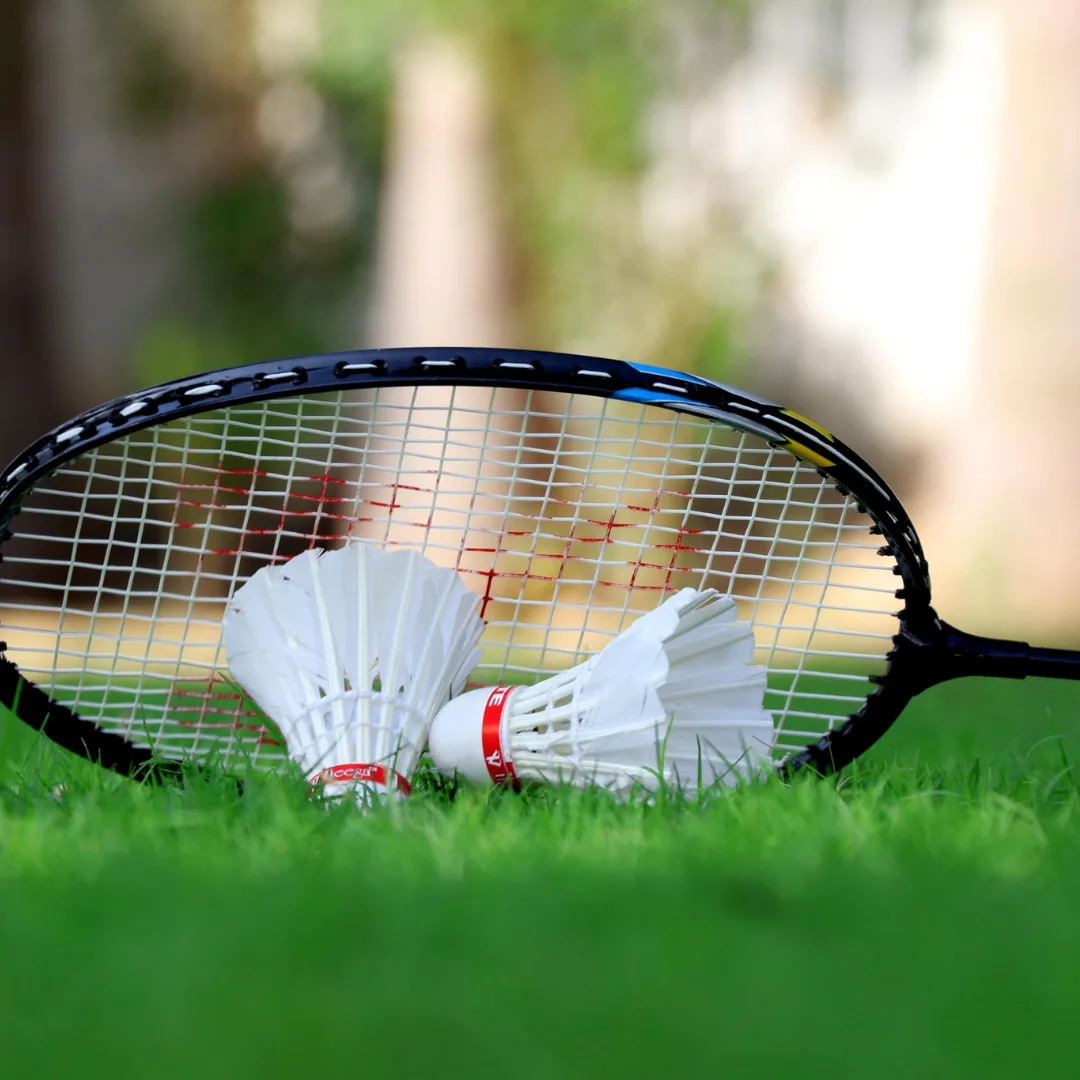 Professional Badminton Rackets