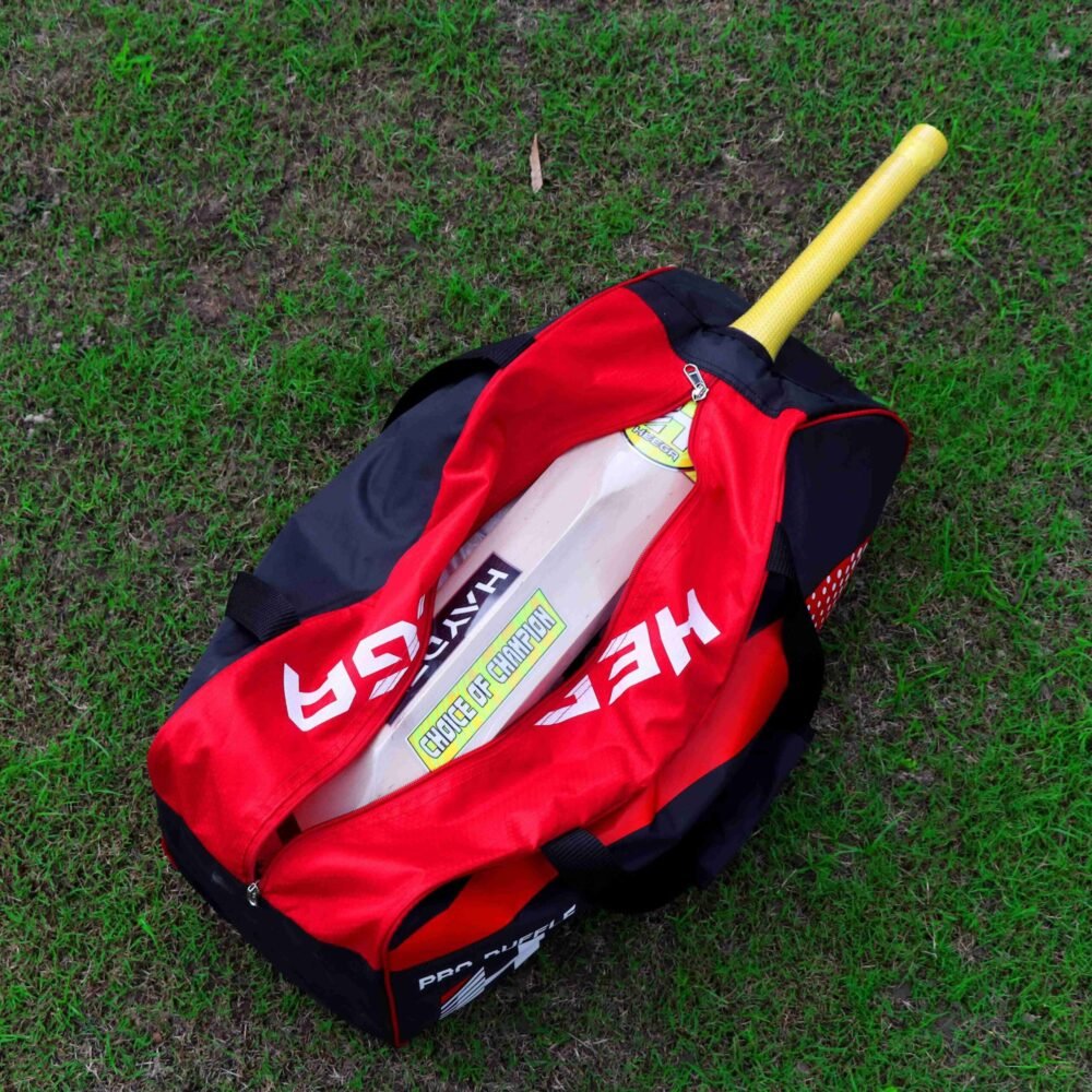 Kashmir willow bats