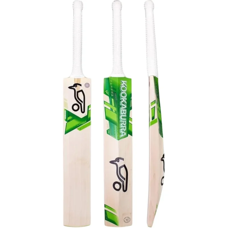 Kashmir willow