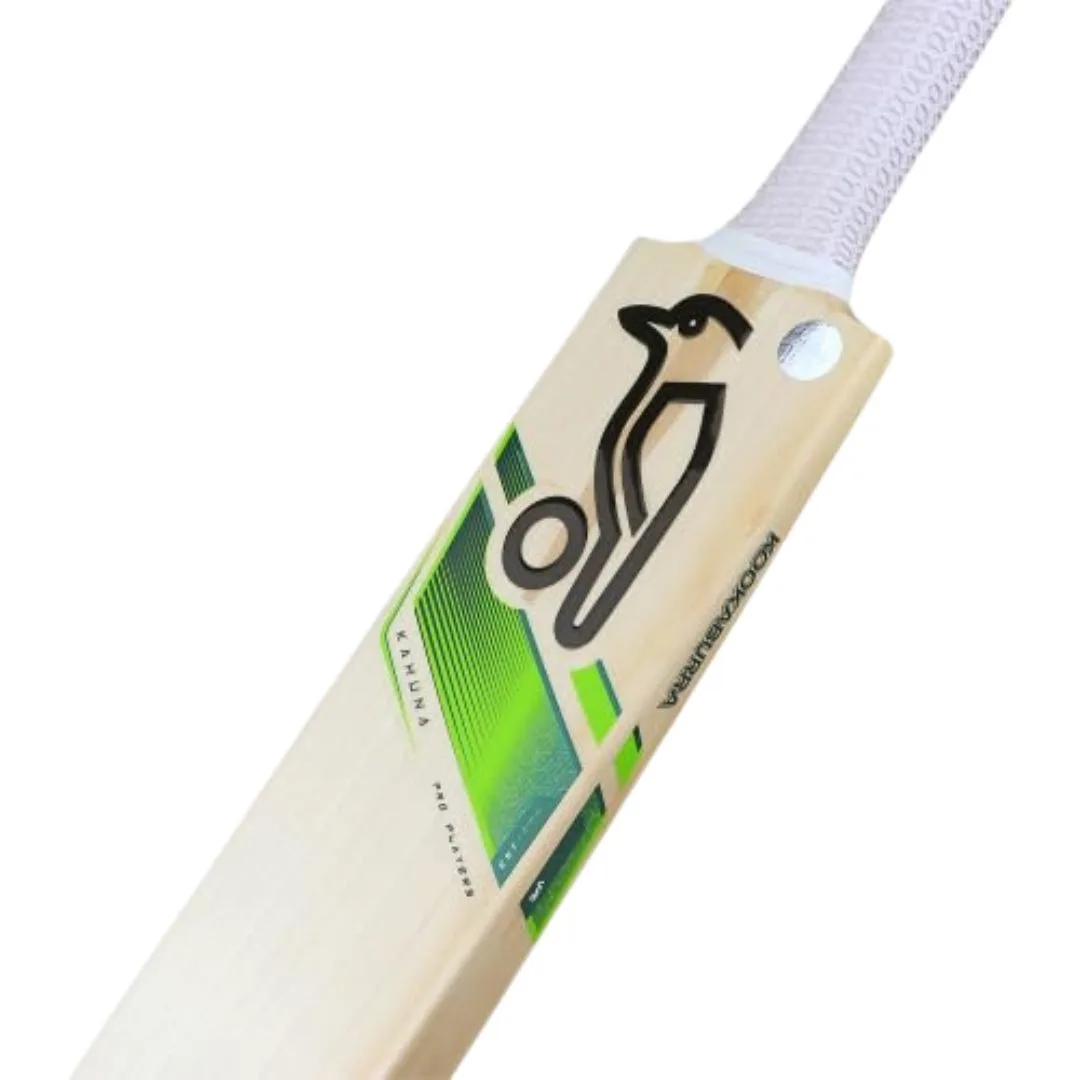 Kashmir willow