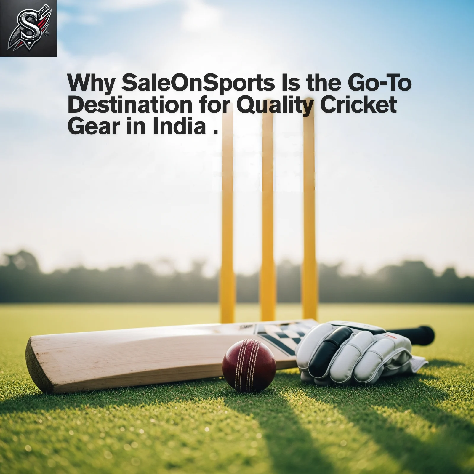 Why SaleOnSports Is the Go-To Destination for Quality Cricket Gear in India 1 Workflows