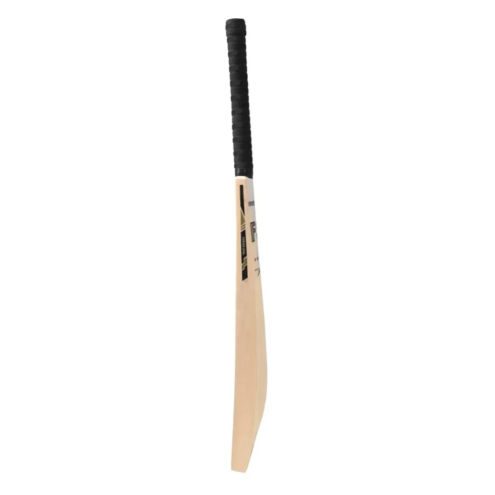 Kashmir willow